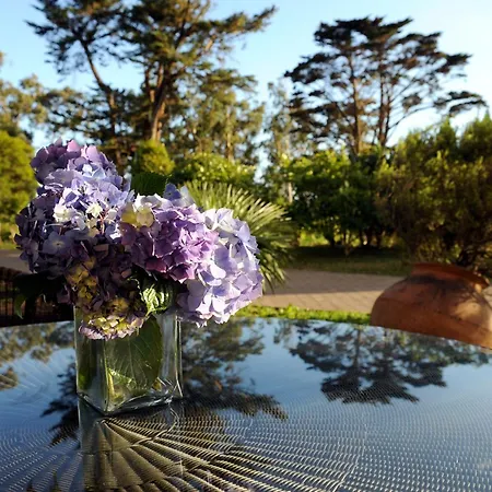 Quinta Da Cova Do Milho Santo Antonio da Serra