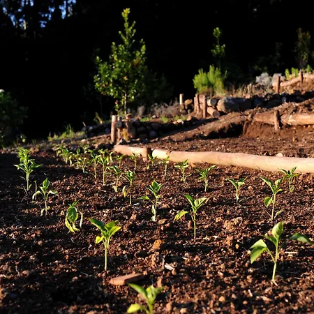 호텔 Quinta Da Cova Do Milho 3*