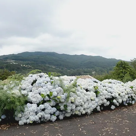 Quinta Da Cova Do Milho 3* Santo Antonio da Serra