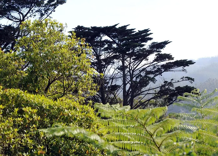 金塔大科瓦多米尔霍酒店