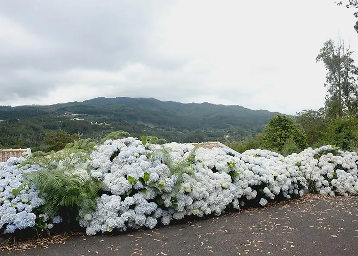Quinta Da Cova Do Milho 3* Santo Antonio da Serra