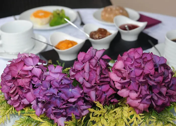 金塔大科瓦多米尔霍酒店 3* Santo Antonio da Serra