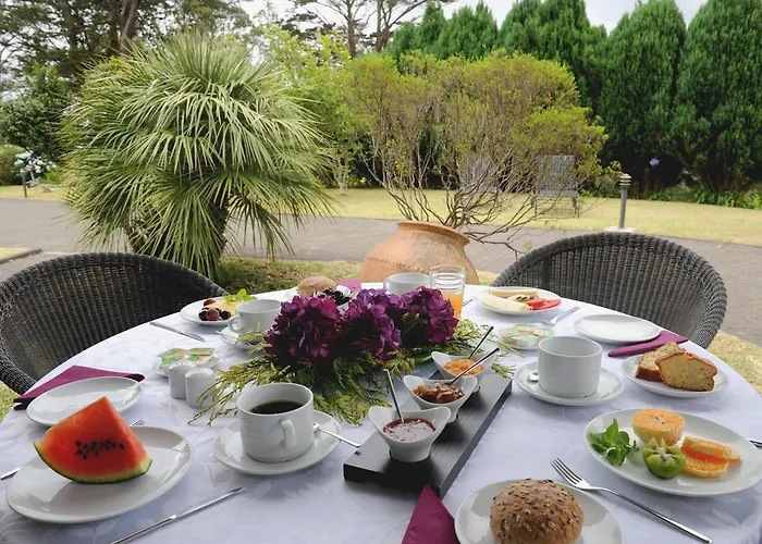 金塔大科瓦多米尔霍酒店 3* Santo Antonio da Serra