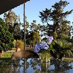 Quinta Da Cova Do Milho