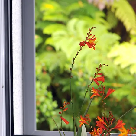 Quinta Da Cova Do Milho ホテル Santo Antonio da Serra