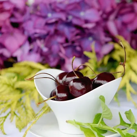 金塔大科瓦多米尔霍酒店 3*