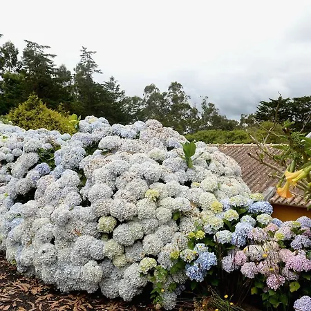 金塔大科瓦多米尔霍酒店 Santo Antonio da Serra