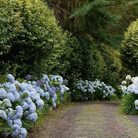 ホテル Quinta Da Cova Do Milho Santo Antonio da Serra