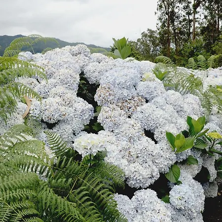 Quinta Da Cova Do Milho