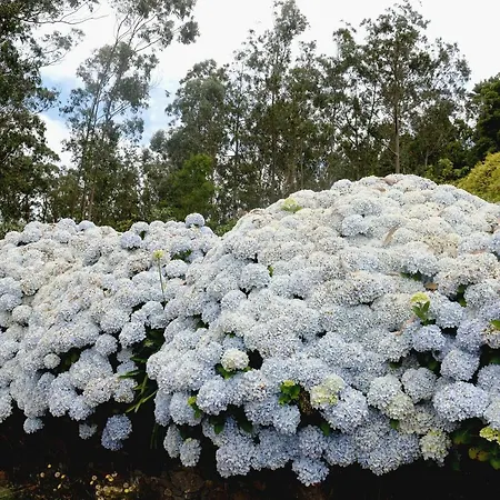 酒店 金塔大科瓦多米尔霍酒店 Santo Antonio da Serra