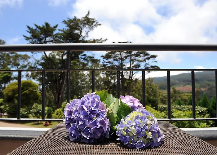 Hotel Quinta Da Cova Do Milho 3*