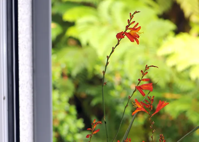 金塔大科瓦多米尔霍酒店 酒店 Santo Antonio da Serra