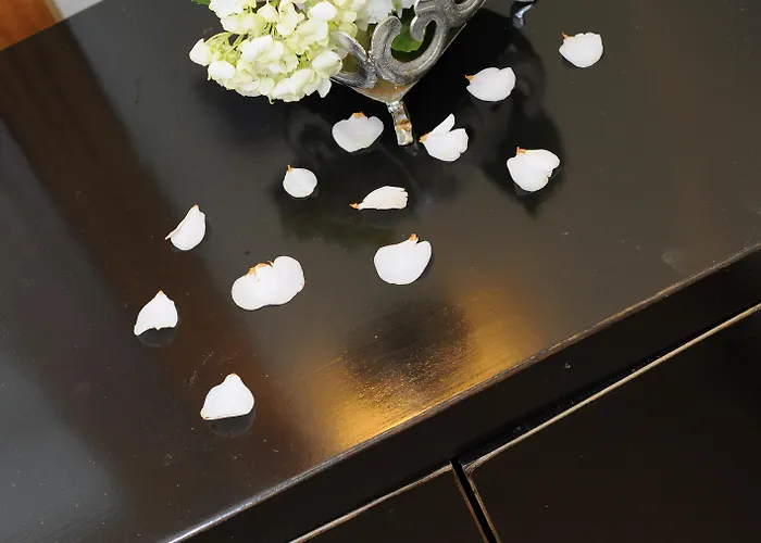 酒店 金塔大科瓦多米尔霍酒店 3*