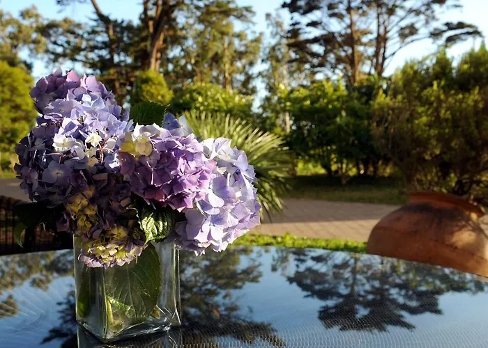 Quinta Da Cova Do Milho Santo Antonio da Serra