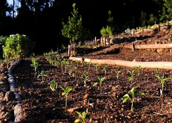 Hotel Quinta Da Cova Do Milho 3*