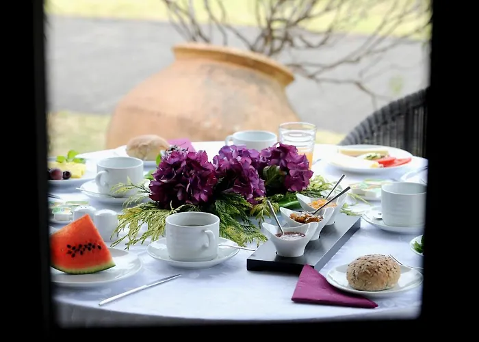 金塔大科瓦多米尔霍酒店 3* Santo Antonio da Serra