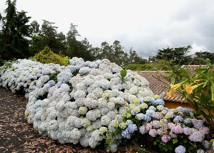 Quinta Da Cova Do Milho Santo Antonio da Serra