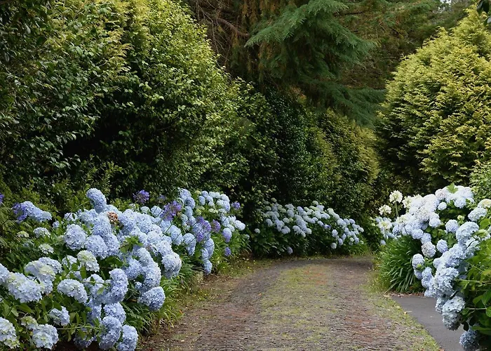 酒店 金塔大科瓦多米尔霍酒店 Santo Antonio da Serra