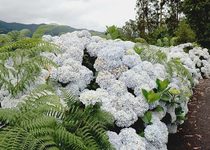 Quinta Da Cova Do Milho