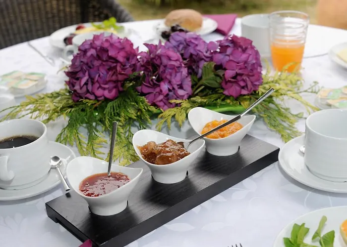 金塔大科瓦多米尔霍酒店 3* Santo Antonio da Serra