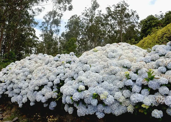 Hotel Quinta Da Cova Do Milho Santo Antonio da Serra