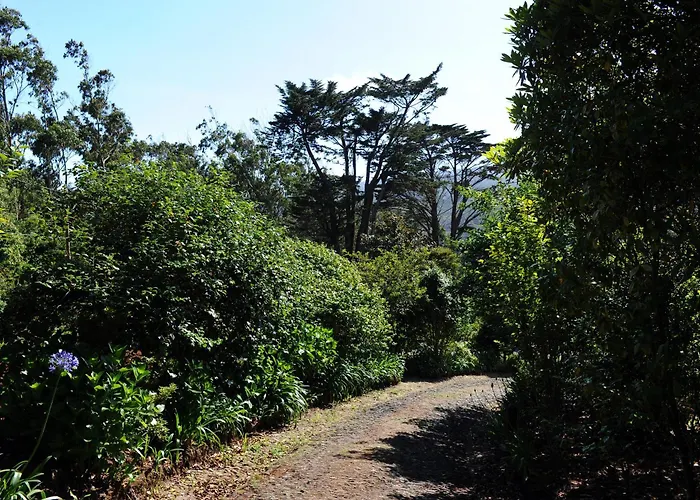 酒店 金塔大科瓦多米尔霍酒店 3*